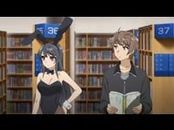 Le syndrome de la puberté : phénomènes anormaux qui, selon la rumeur qui circule sur le net, sont causés par la sensibilité et l’instabilité ressenties lors de l’adolescence. Sakuta Azusagawa, un lycéen qui étudie près d’Enoshima, rencontre plusieurs jeunes filles souffrant du syndrome de la puberté. L’une d’elles se promène en costume de lapin dans la bibliothèque. Elle se nomme Mai Sakurajima, c’est une élève de terminale qui a mis sa carrière d’actrice en pause. P